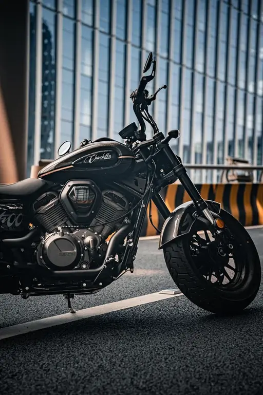 Шиншилла 500 Р / Chinchilla 500 R